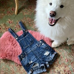 Divided Blue Denim Women Jeans Overalls